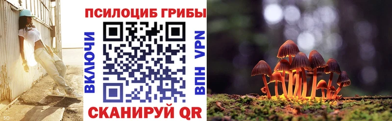 наркота  Кедровый  Псилоцибиновые грибы Cubensis 