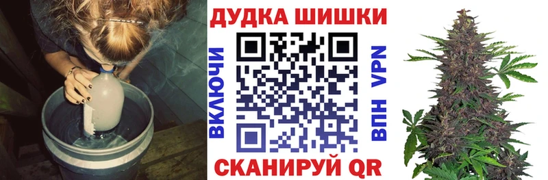 Бошки Шишки Amnesia  где продают   Кедровый 